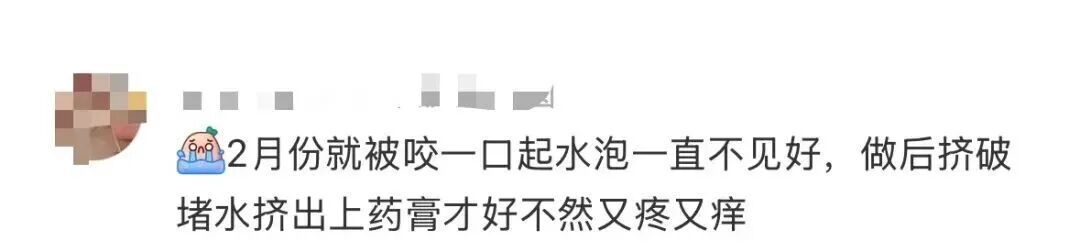 密密麻麻！最近路边大量出现！深圳疾控紧急提醒：立即远离！