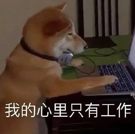 全网催更！“上海警察蜀黍也想报警”，奇葩警情盘点→