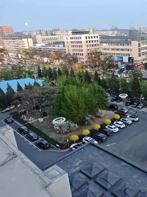 锦州市委大院，火了