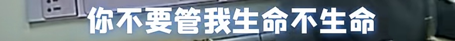 全网催更！“上海警察蜀黍也想报警”名场面太好笑了
