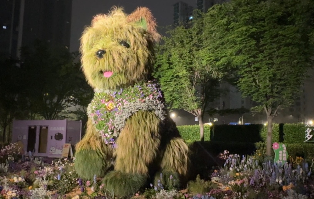 “潦草小狗”亮起来了！一座城市这样回应人们的期待