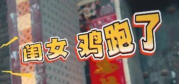 “这闺女有办法！”河南90后村支书的烟火日常
