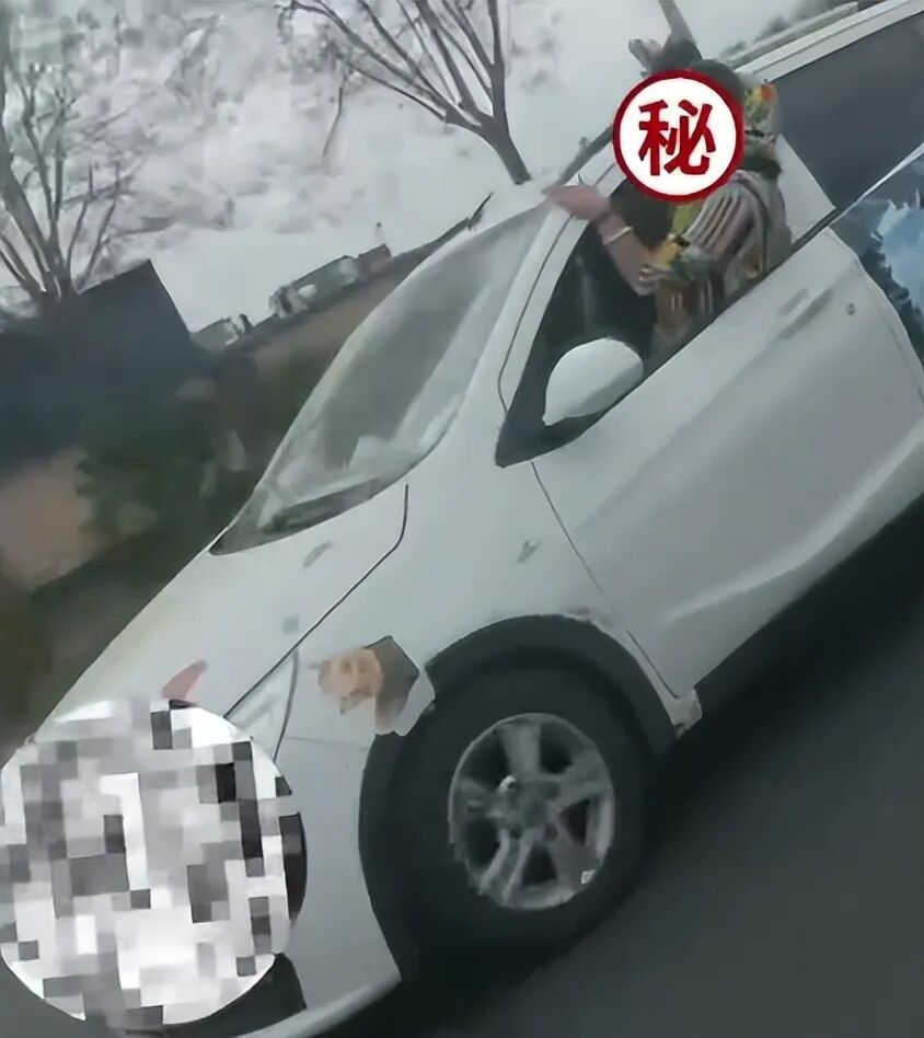 辽宁一女子驾车双手离开方向盘，半个身子探出车窗外，交警回应