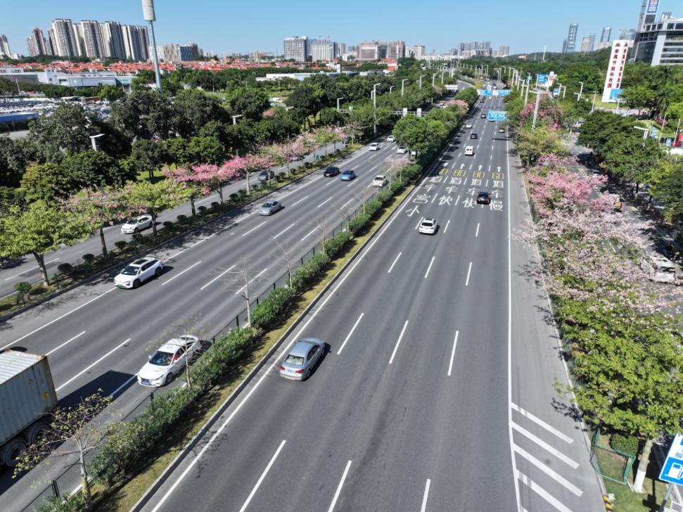 “五一”假期过半，广州市高速公路返程攻略来了→