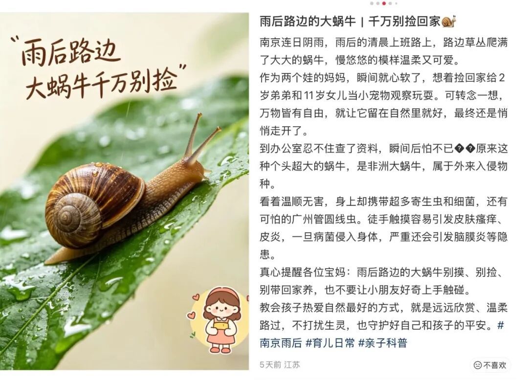 别碰！携带大量寄生虫，近期已出现