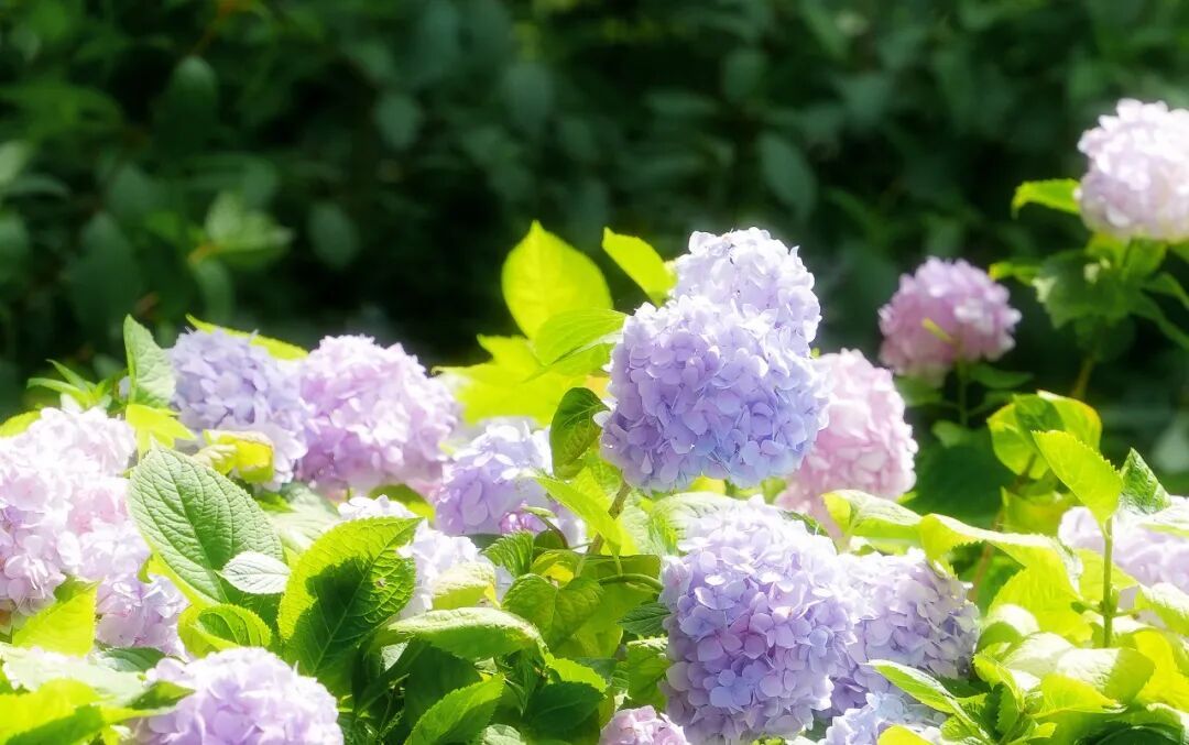 就在今日，19时49分