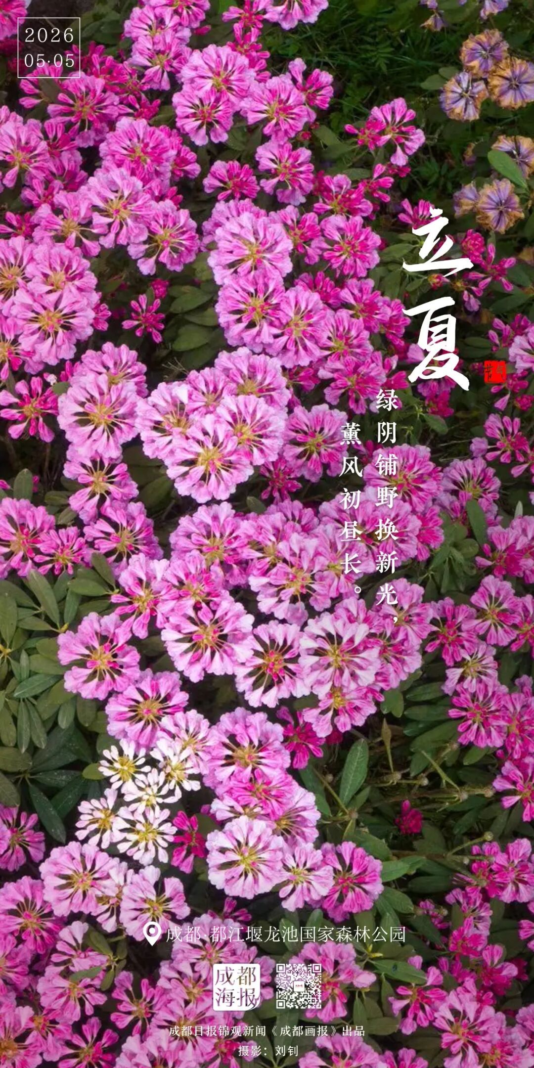 忽而，立夏