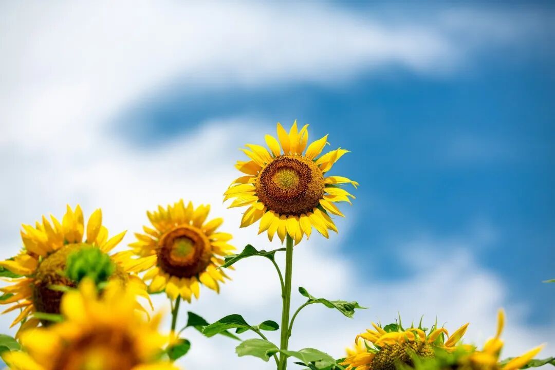 就在今日，19时49分