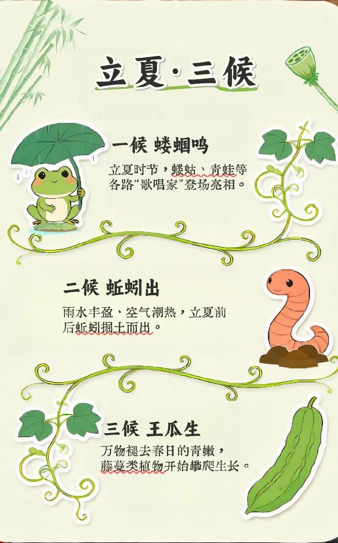 直冲30℃+！浙江气温“火力全开”， “降水+降温+大风” 已在路上