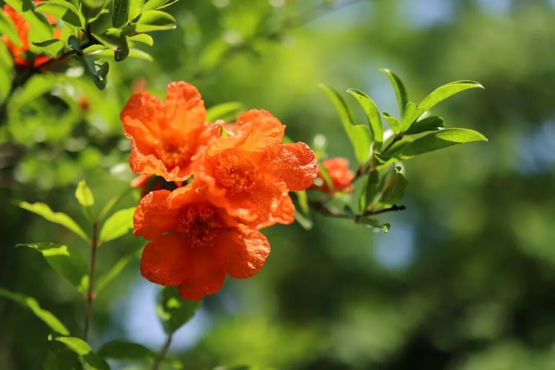 就在今日，19时49分
