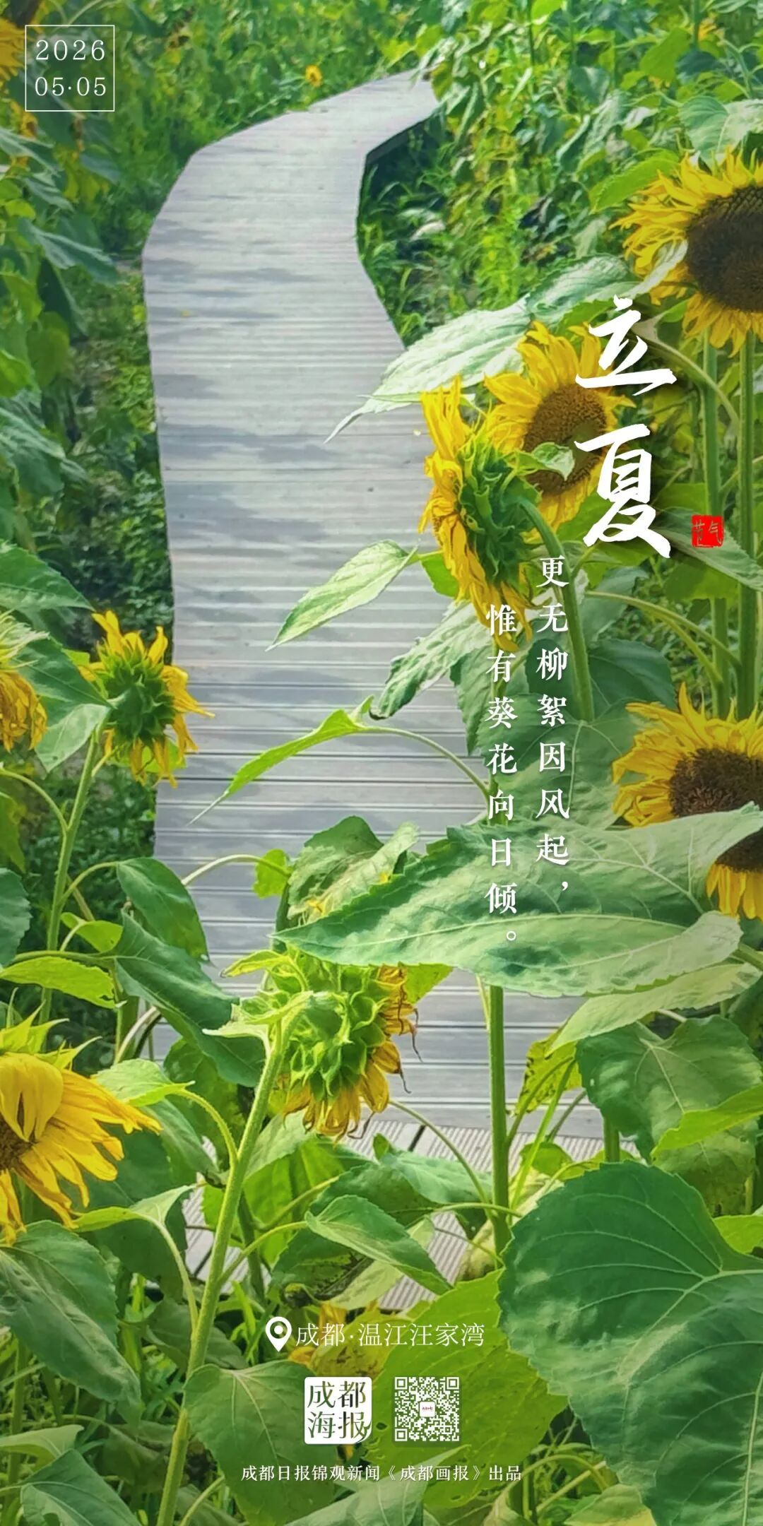 忽而，立夏
