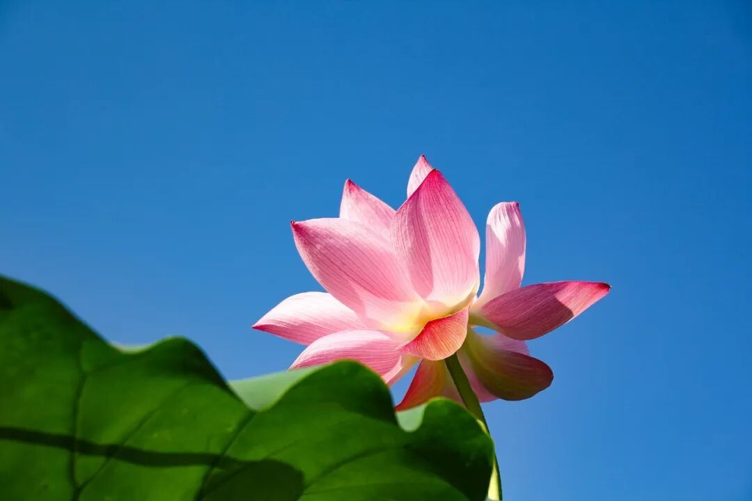 就在今日，19时49分