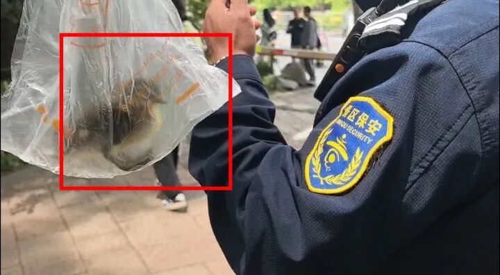 游客在西湖边试图带走新生小鸳鸯，谎称是买来的小鸭子，幸好拦住了...