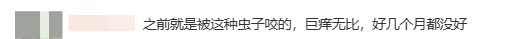 杭州女子抓狂：出了一趟门，腿上全是红色小疙瘩！不少人已中招，“元凶”原来是它