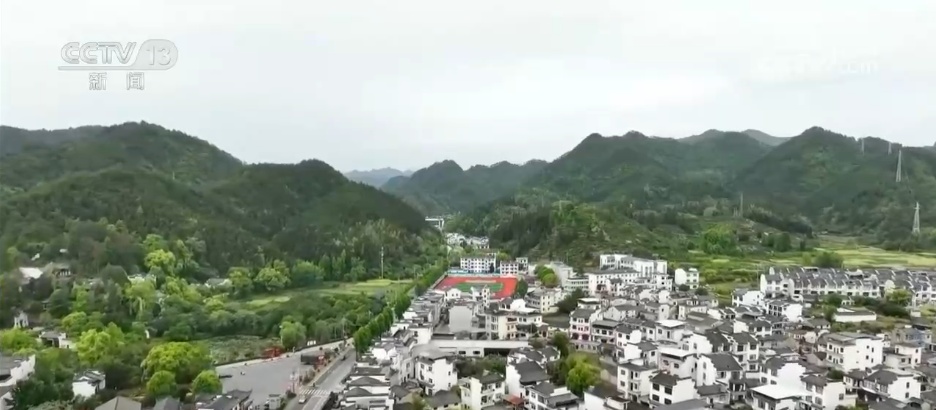 今日立夏 | 斗蛋、乌米饭、尝三鲜 “民俗+美食”拉满“立夏”节气仪式感