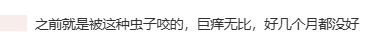 头皮发麻！女子出了一趟门，腿上密密麻麻长满...近期猛增，不少人已中招！