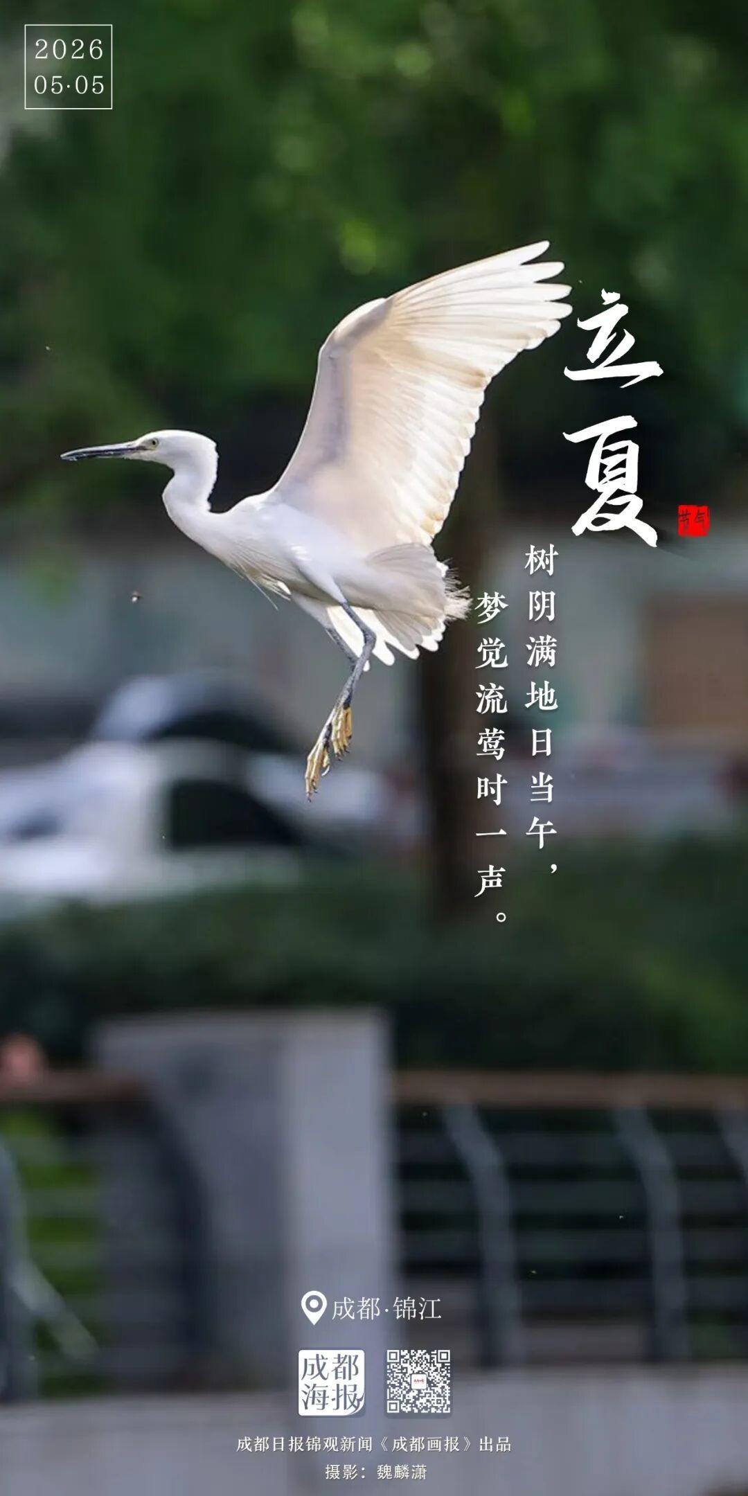 忽而，立夏