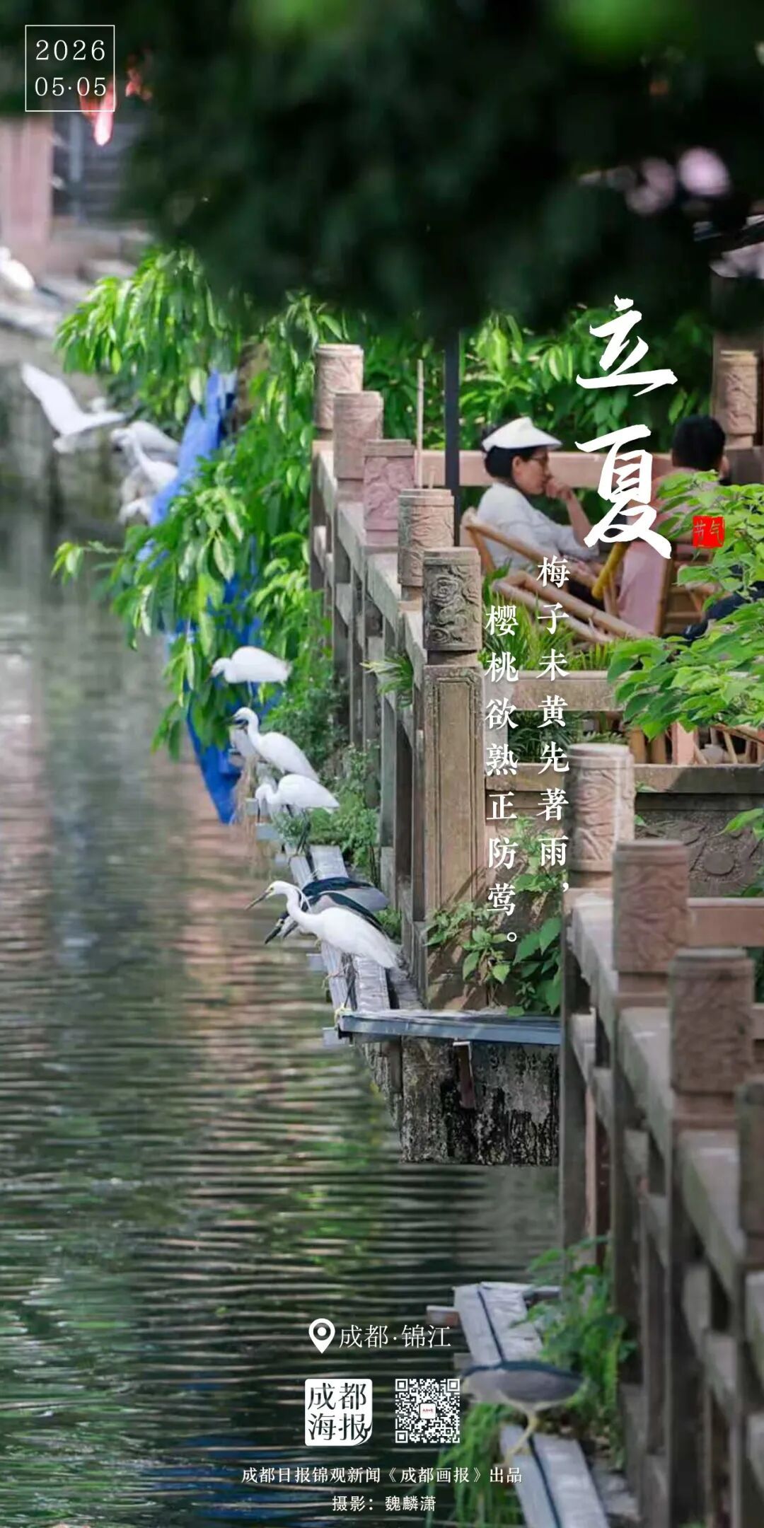 忽而，立夏