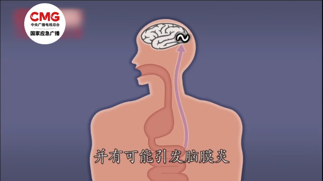 别碰！携带大量寄生虫，近期已出现