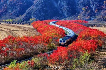 五一假期铁路运输旅客破1亿人次