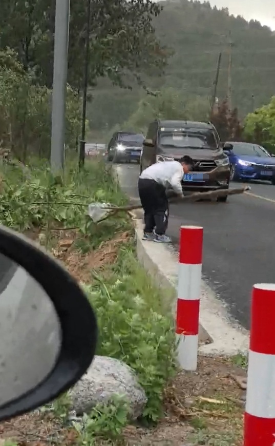 大风过后树枝横在路中，山东一9岁“小胖孩”徒手挪走，被挡路车主鸣笛致谢