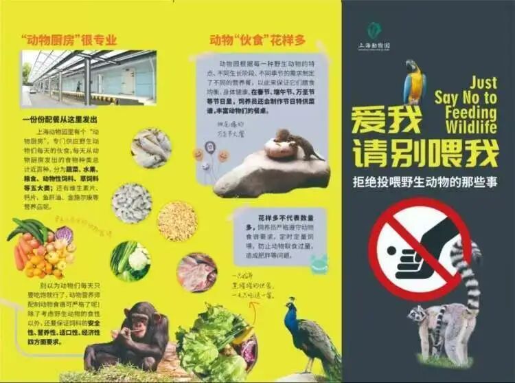游客在动物园投喂动物，当地警方出动！网友：大快人心