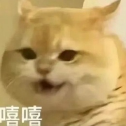 跟闺蜜的相处模式：互相不回对方消息但是都“库库”发……