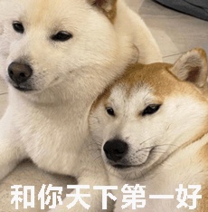跟闺蜜的相处模式：互相不回对方消息但是都“库库”发……