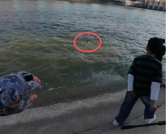 30秒救起！河南一男孩落水，“钓鱼佬”跳水相救同行者协助：不太会游泳，但人命关天