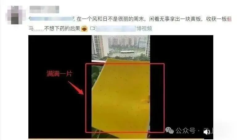 今天起，请少穿这种颜色衣服出门！