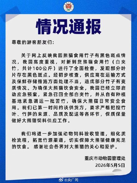重庆动物园通报大熊猫竹子被指发霉