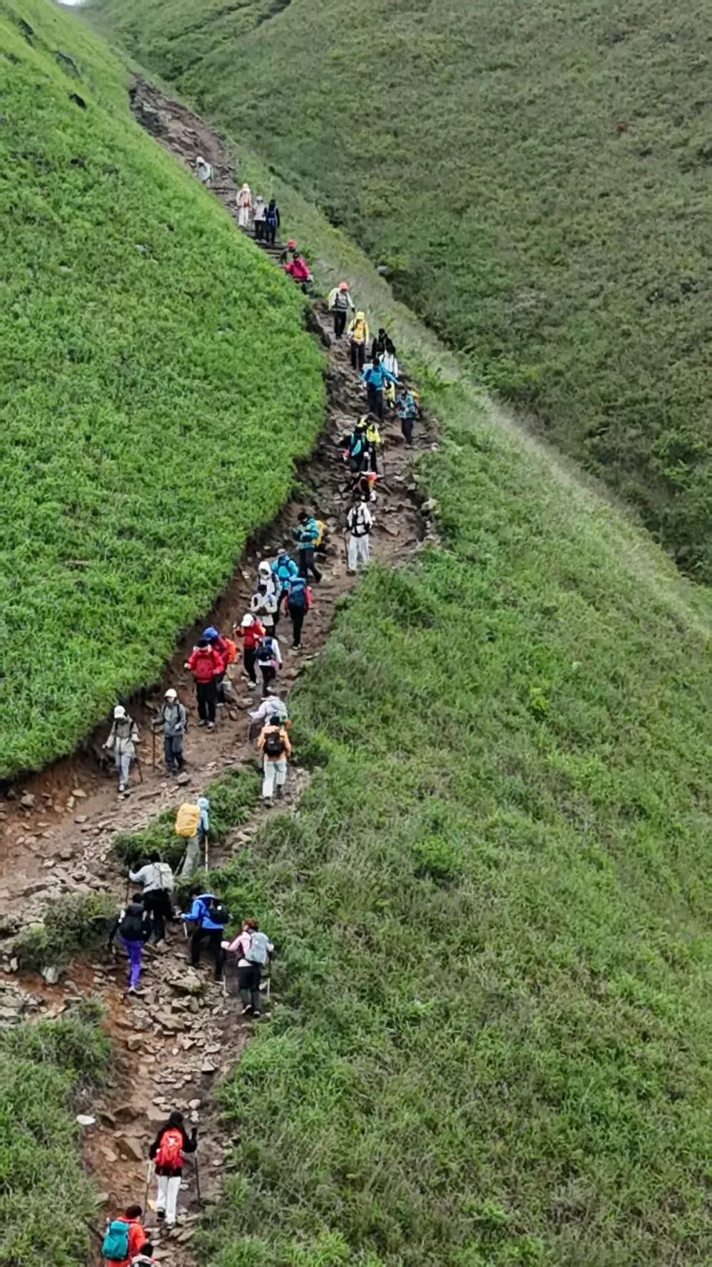 深夜暴雨中，成功救援被困海拔1600米武功山的两名驴友，好心人找到了！是退役军人！