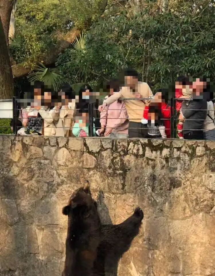 上海动物园里为了这件事，警察都出动了！网友拍手叫好：终于开始抓了，就是应该狠狠罚
