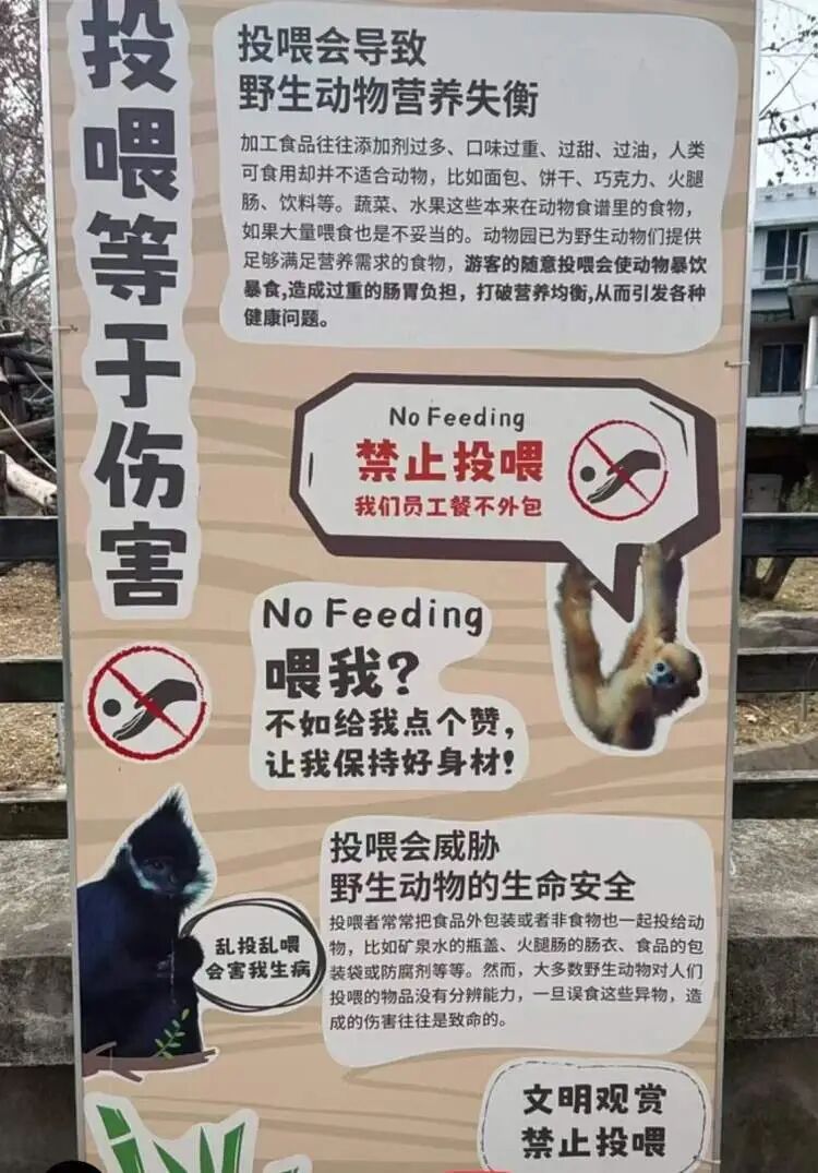 上海动物园里为了这件事，警察都出动了！网友拍手叫好：终于开始抓了，就是应该狠狠罚