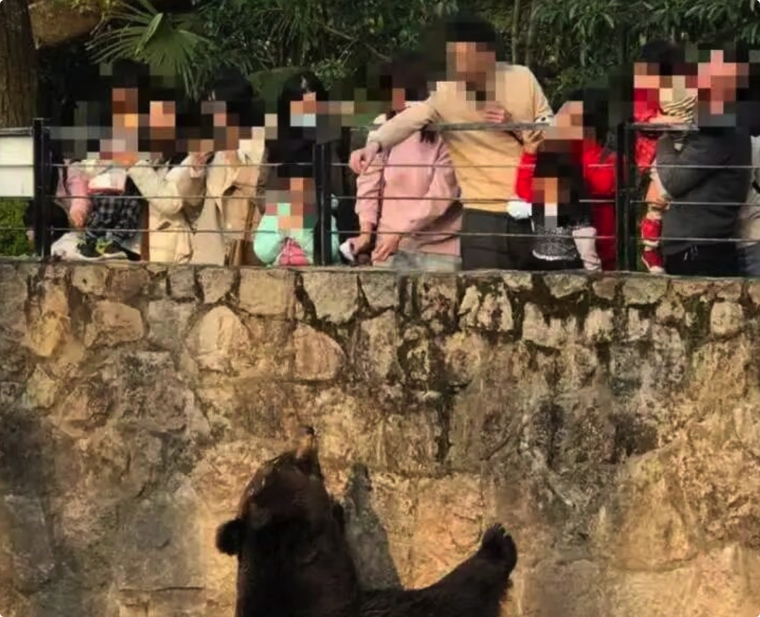 游客在动物园投喂动物，当地警方出动！网友：大快人心