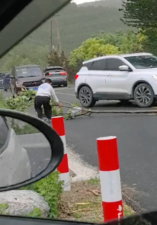 大风过后树枝横在路中，山东一9岁“小胖孩”徒手挪走，被挡路车主鸣笛致谢