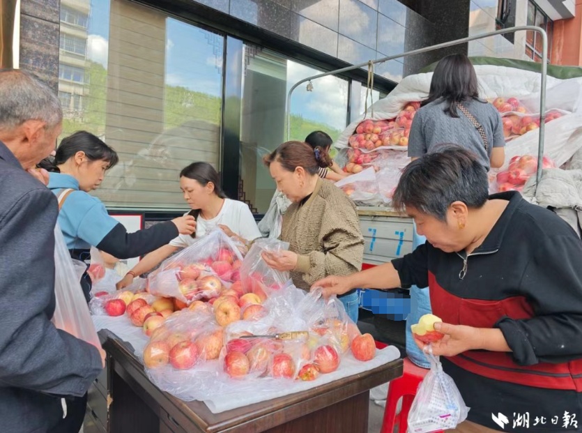 8000多斤，不到一天被抢完！有人一次买下100多斤
