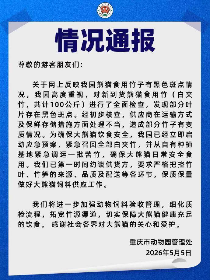 熊猫食用竹子变质 重庆动物园通报：将进一步加强饲料验收管理