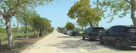 上海顶流小鸟易主了！数千人去崇明拍一只白斑军舰鸟