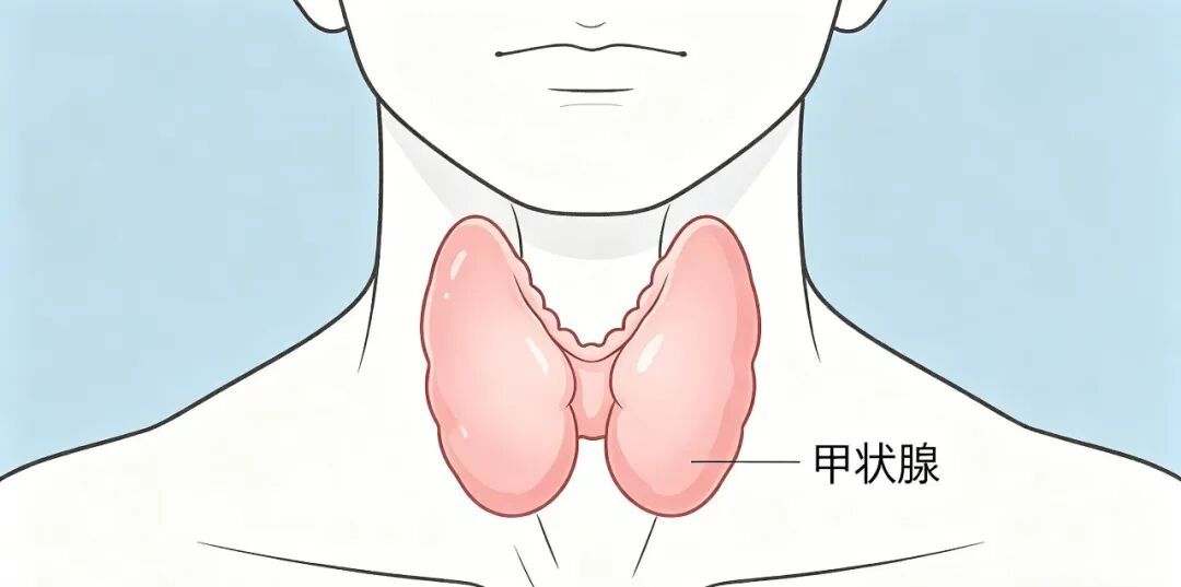 熬夜VS生气，哪个对甲状腺伤害大？答案藏在你的日常里