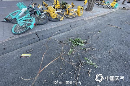 大风呼呼吹！北京今天阵风可达6至7级 明起风力减弱气温回升