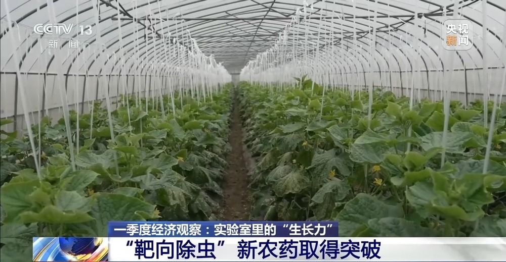 育种提速、靶向除虫 “大国粮仓”再添硬核底气