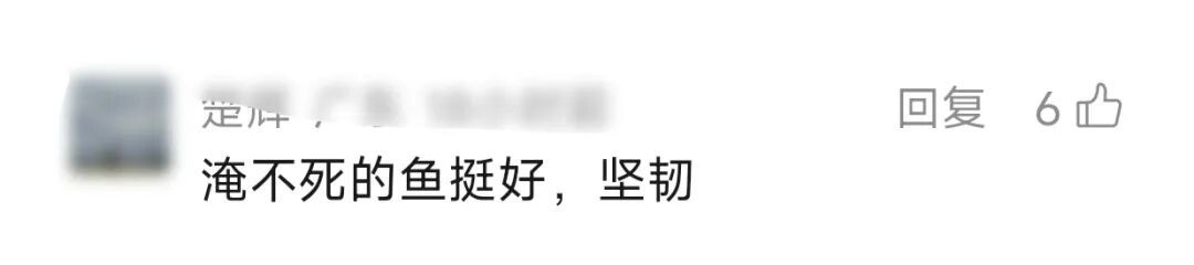 妻子要丈夫改网名"要努力",丈夫偷偷改成了TA引爆积压20年家庭矛盾…