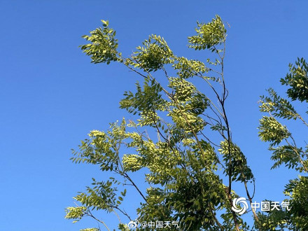 北京局地风力达到11级