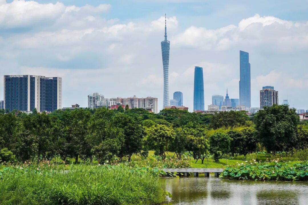 立夏之后，宜平心静气