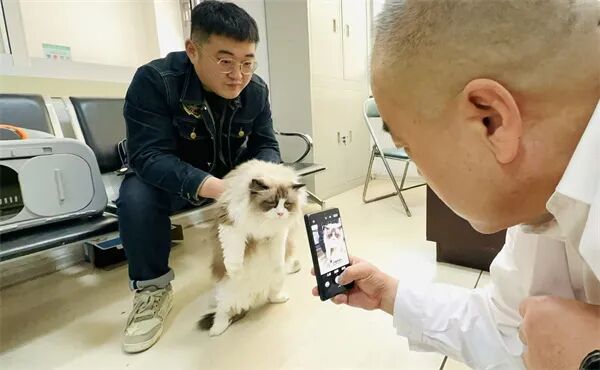 宠物乘飞机、火车需要先检疫，主人可线上申报办理！哈尔滨市前四月累计检疫820只猫狗