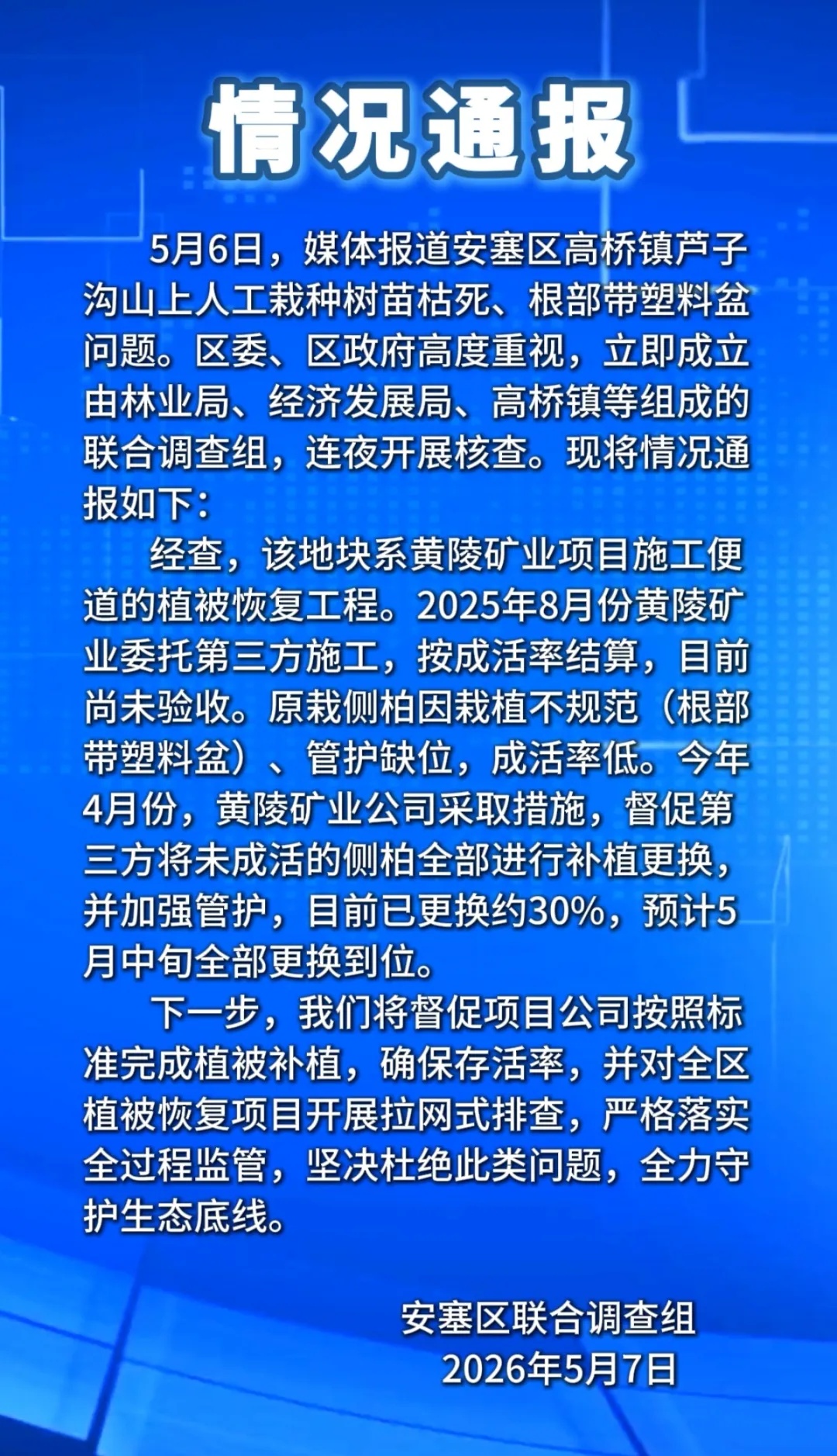 陕西延安一山上大批树苗枯死 官方通报
