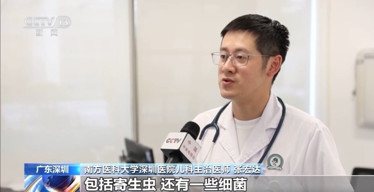 非洲大蜗牛进入活跃期 幼儿需重点防护