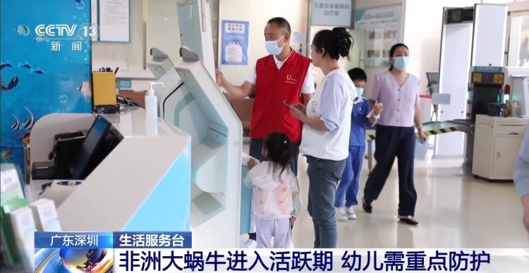 非洲大蜗牛进入活跃期 幼儿需重点防护