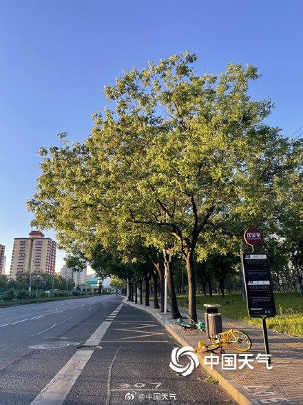 北京局地风力达到11级